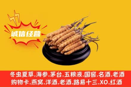西乌珠穆沁旗回收冬虫夏草